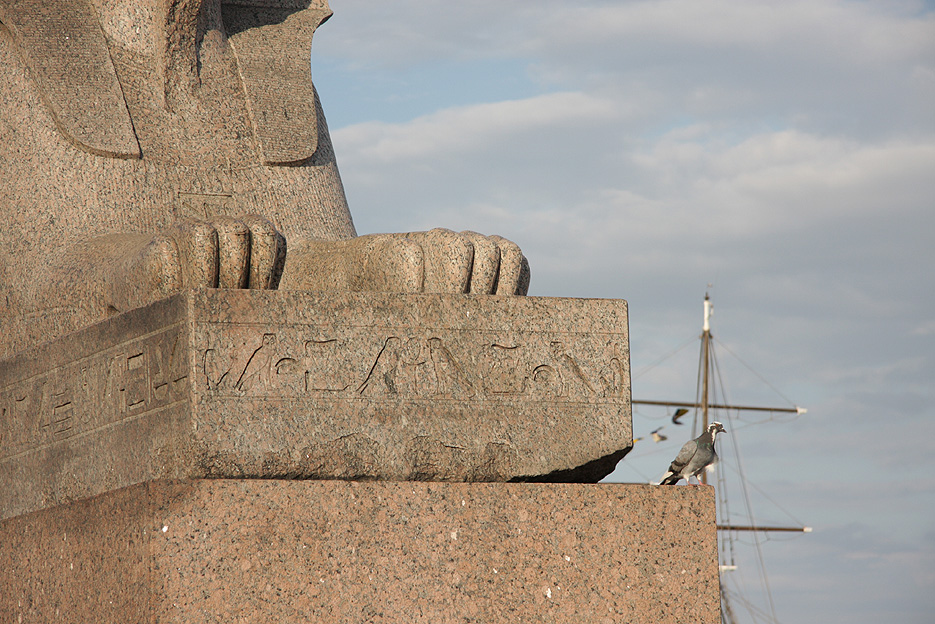 В гостях у сфинкса