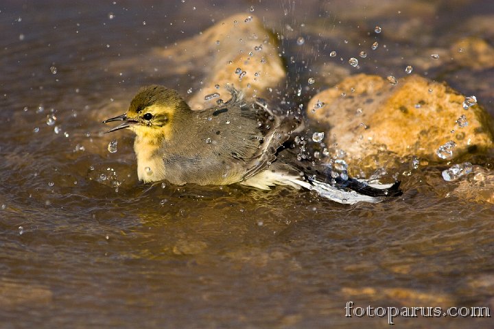 Водные процедуры