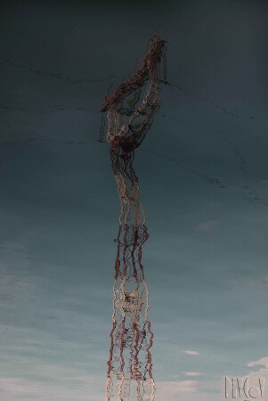 без названия