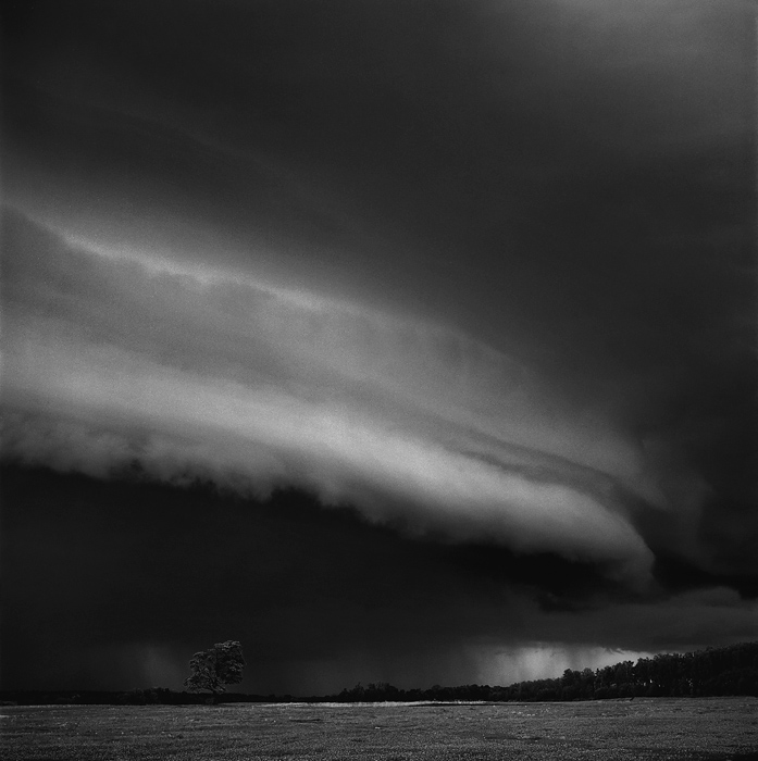 the tree and the storm