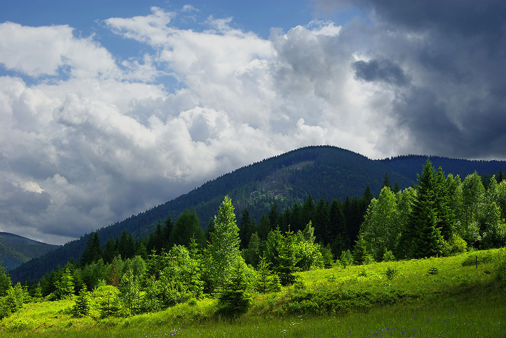 Луч света