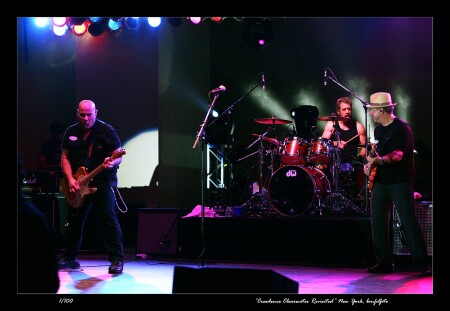 "CREEDENCE CLEARWATER REVISITED" NEW YORK