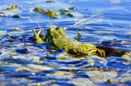 Хип - Хоп Йооо
