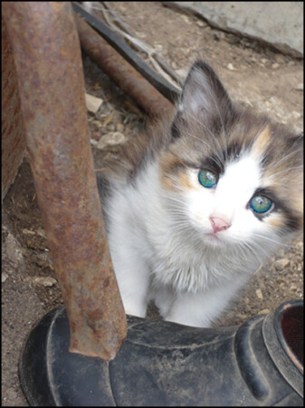 &amp;quot;не затеряться в мире зла&amp;quot;