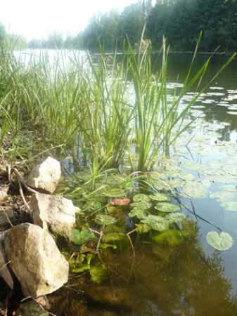 &amp;quot;Она безмолвна, но жива&amp;quot;