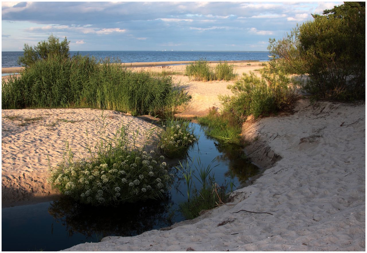 Baltic sea