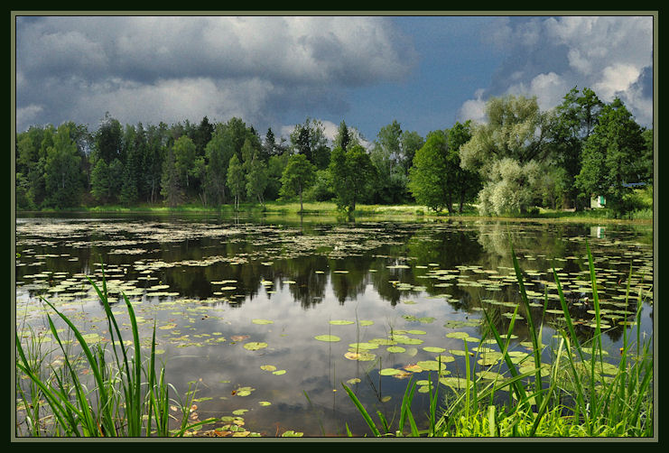 Летний полдень.