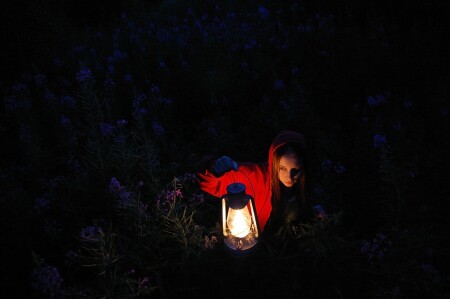 Красная Шапочка