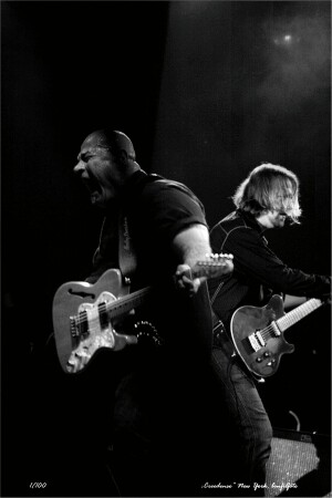 "CREEDENCE 5" NEW YORK