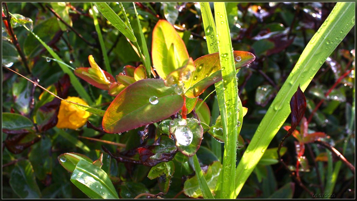 капельки воды и солнце1