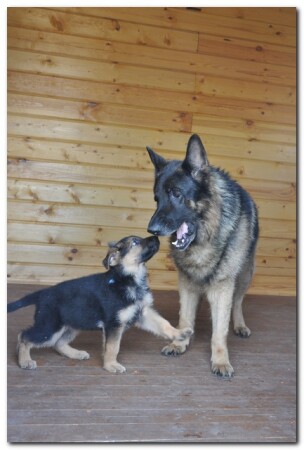 Страшно...пацан?