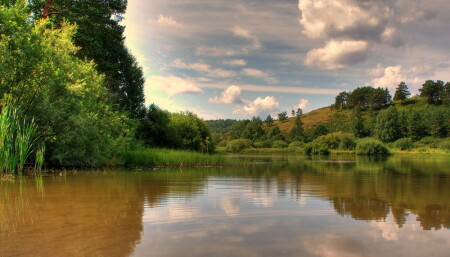 Симпатичное болотце