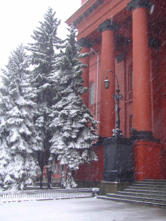 Первый снег в городе