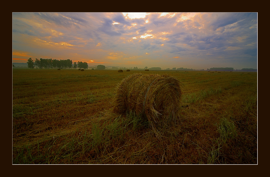 Сено