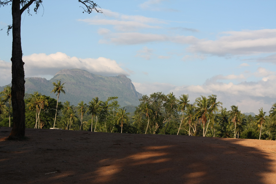 Sri Lanka, Pinnawala, Elephant Orphanage