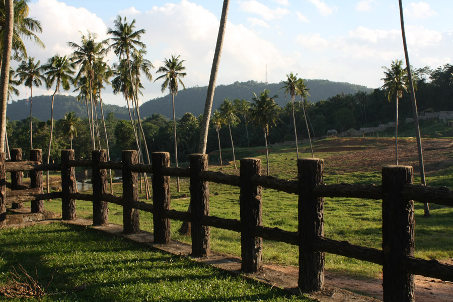 Sri Lanka, Pinnawala, Elephant Orphanage