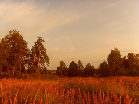 в лучах заката