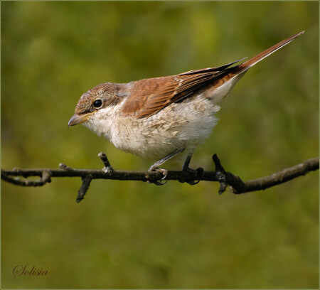 Внимание.......!!!