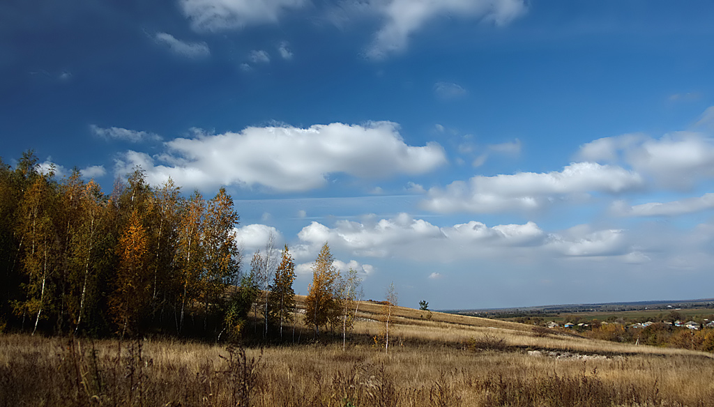 Осеннее