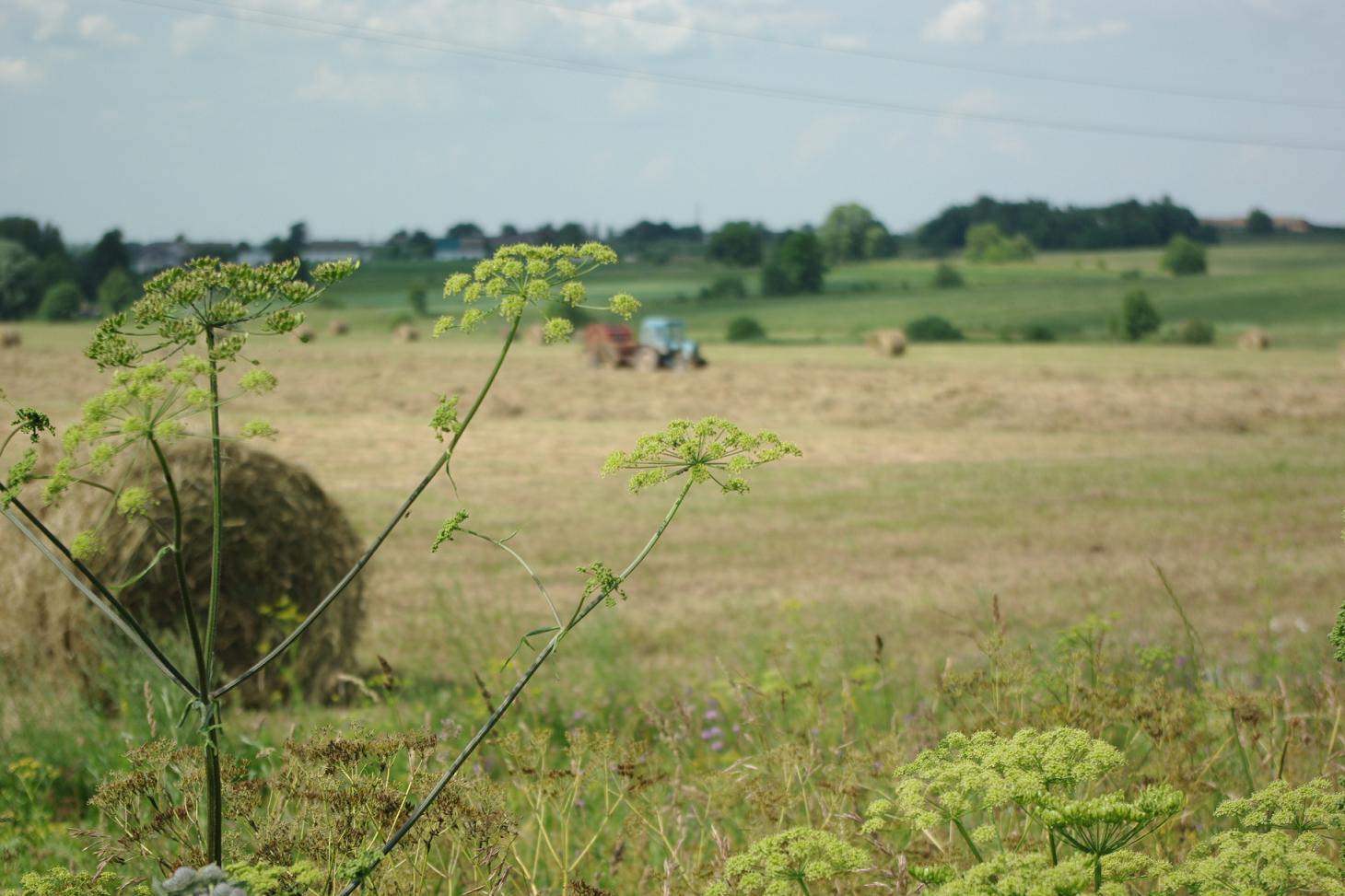 уборка