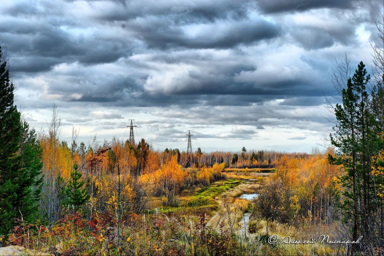 Осенняя зарисовка