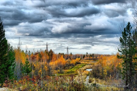 Осенняя зарисовка