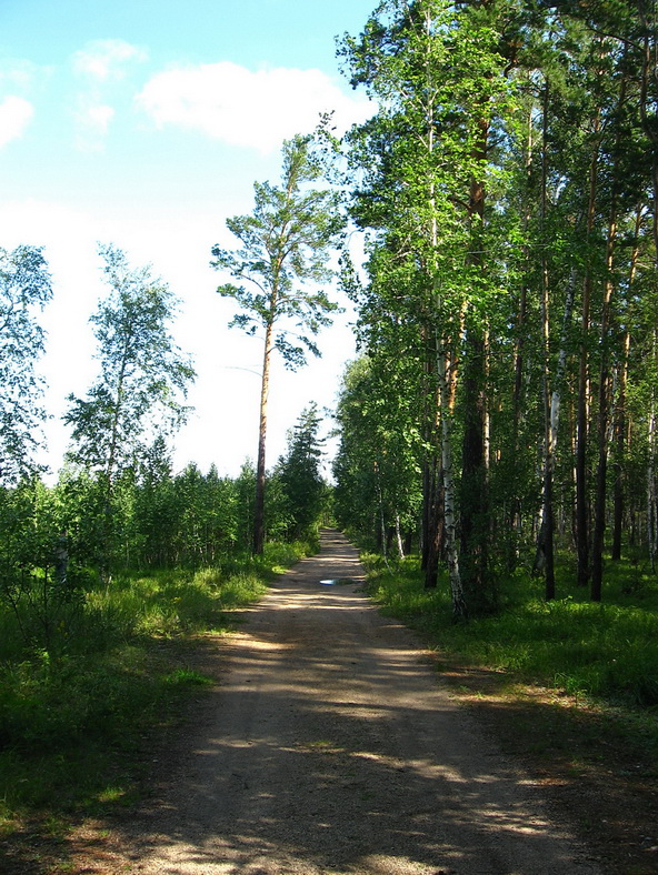 дорога в сказку