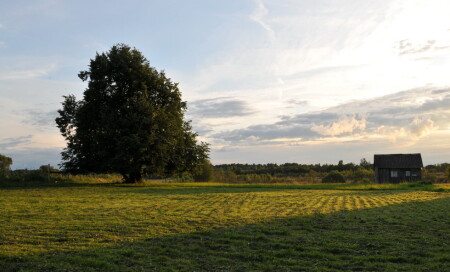 Пейзаж российской глубинки_1
