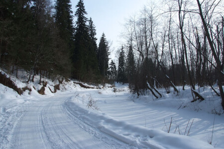 Дорога в весну