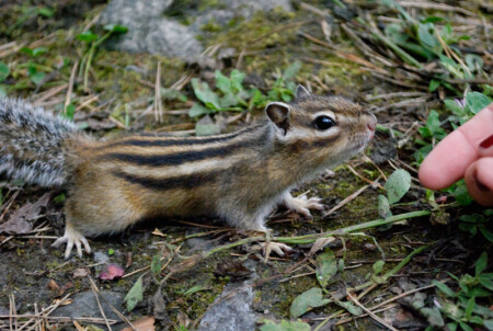 Знакомство