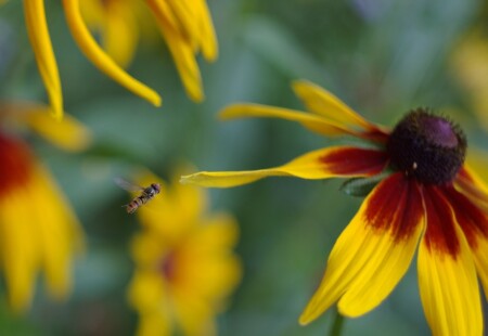Требуется посадка....