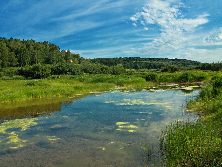 Заливной луг