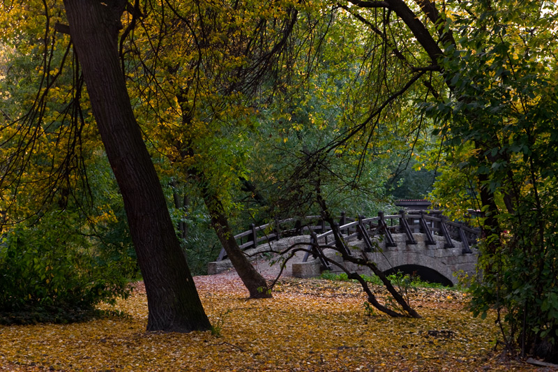 Екатерингофский парк. СПб