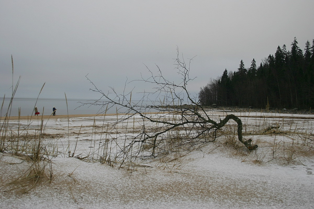 безвременье