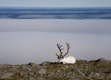 Нордкап. На краю земли. 