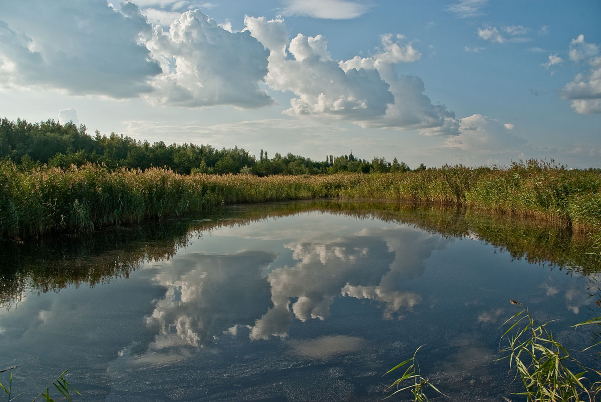 в реку смотрятся облака