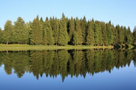 Контраст синего