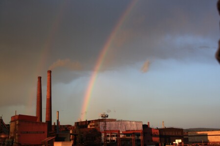 Торжество природы