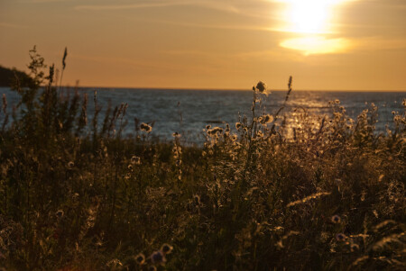 Спокойствие