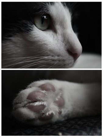 My love. <3