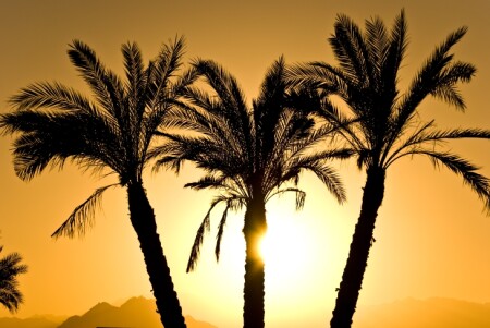 Воспоминание об отпуске