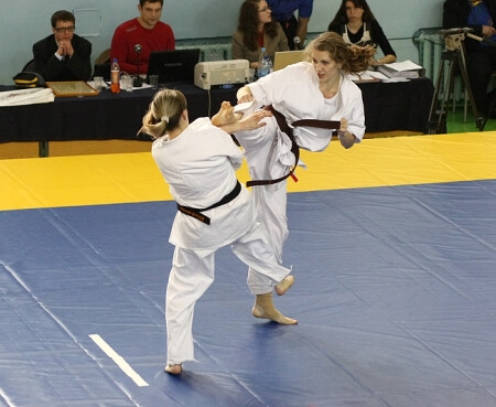 Турнир Kyokushin 28-02-09