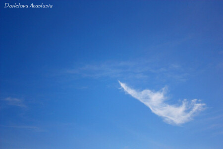 Ваши ассоциации?