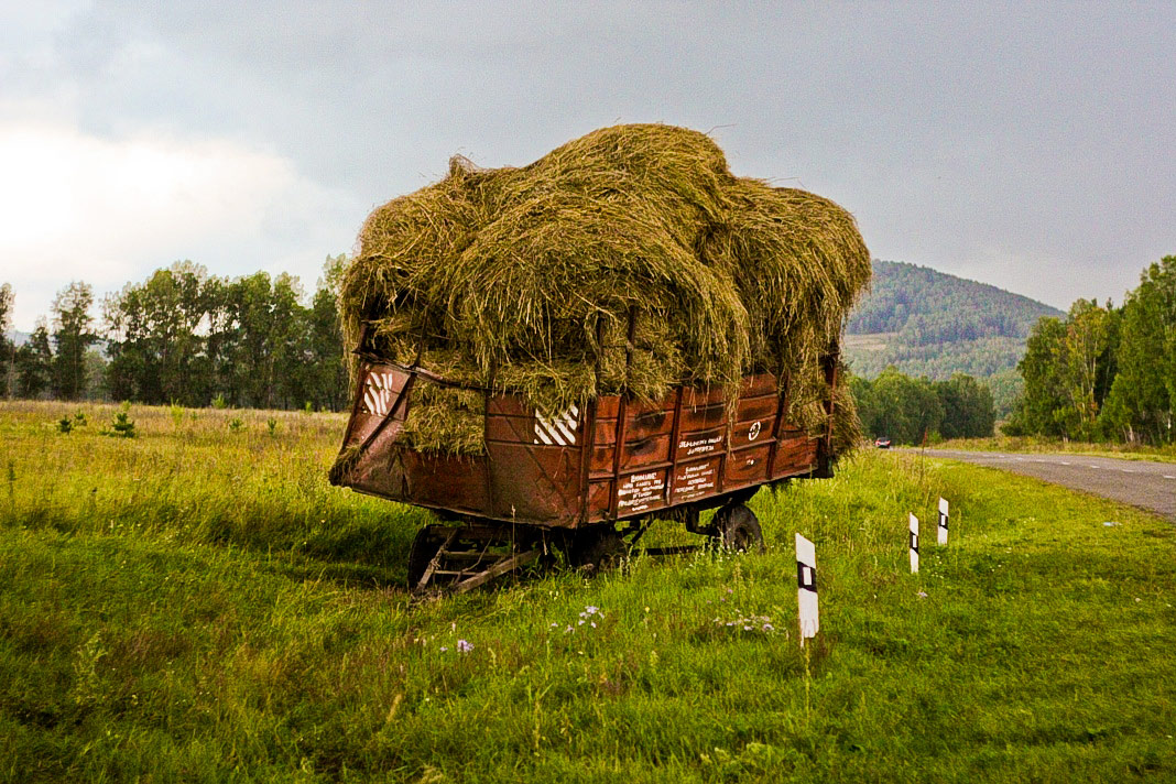 Безхозное сено