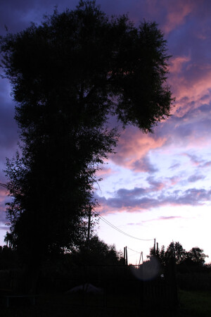 Вопрос от самой природы