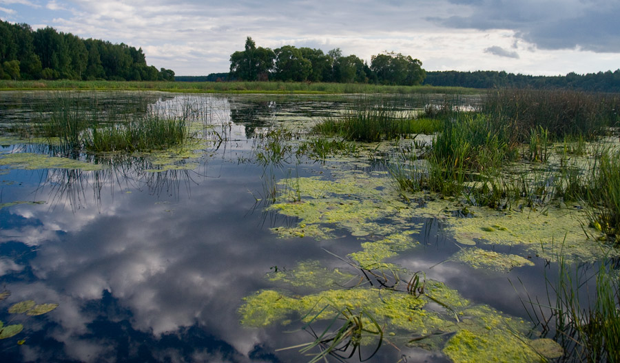 Большая Вода.