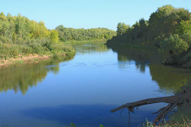 берега, берега