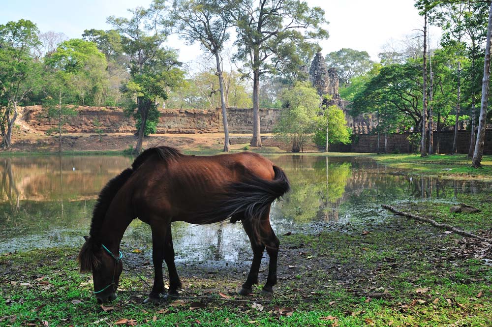 Andkor Wat 02