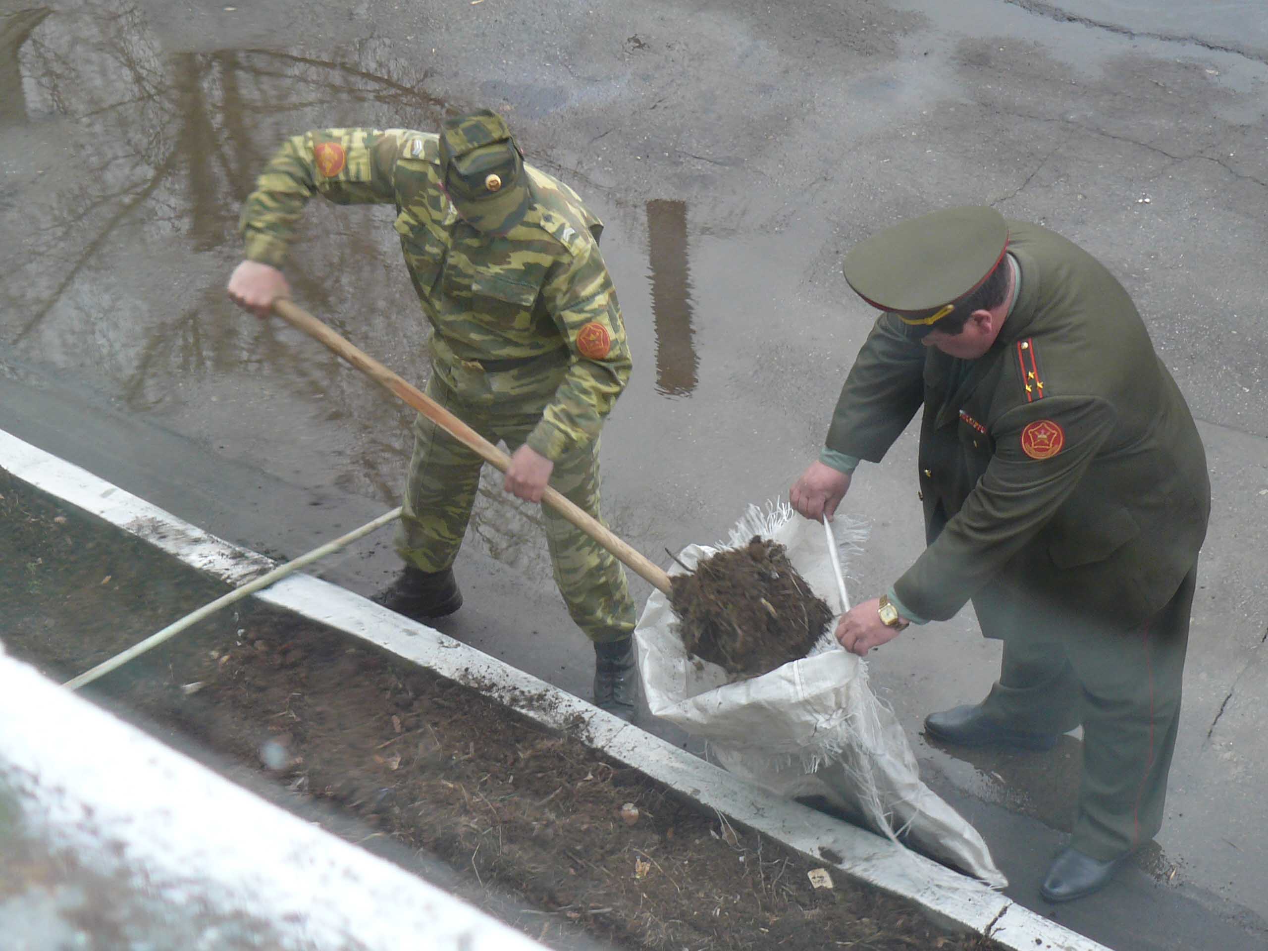 Вот такой он... новый облик армии