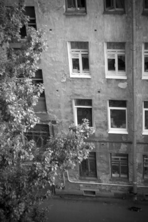 Кород кошек...